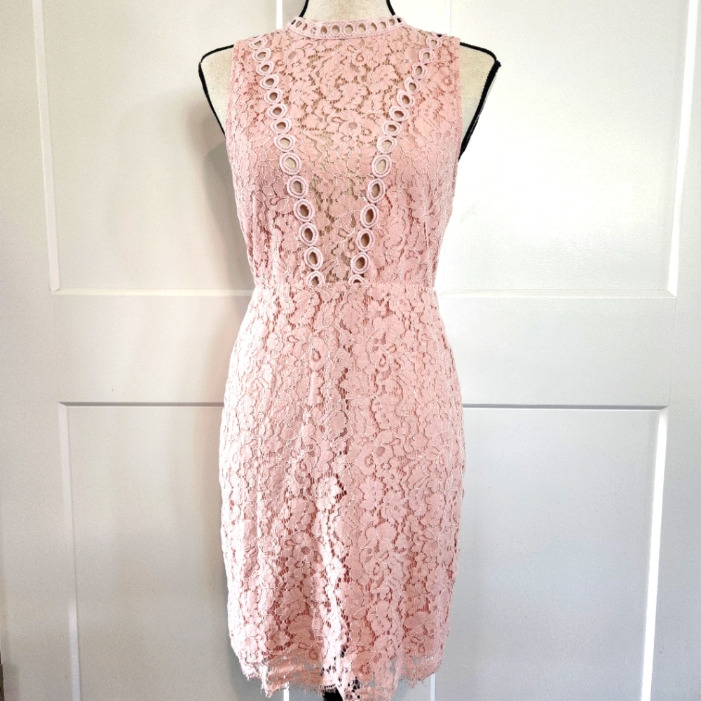 🍉 Main Strip Pink Lace Dress Size Large - Picture 3 of 6